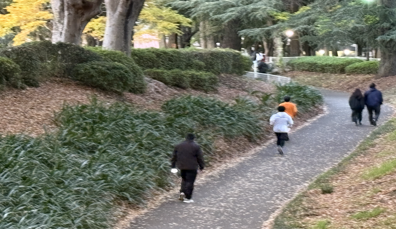 サイクリングロード